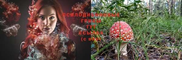 винт Кинешма